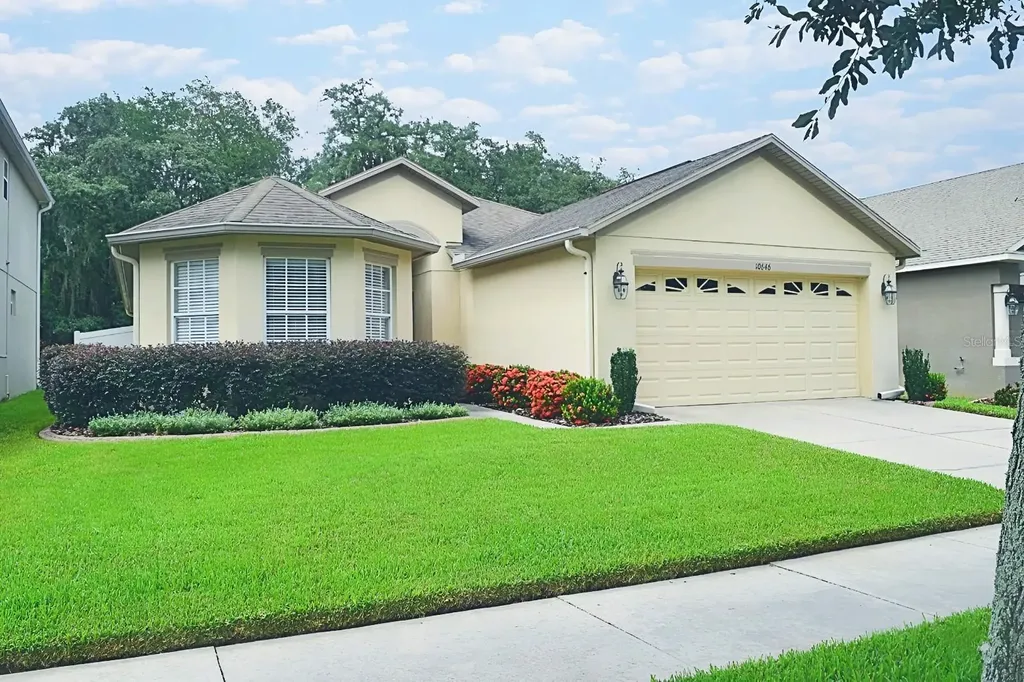 10646 Lucaya Drive Tampa FL 33647