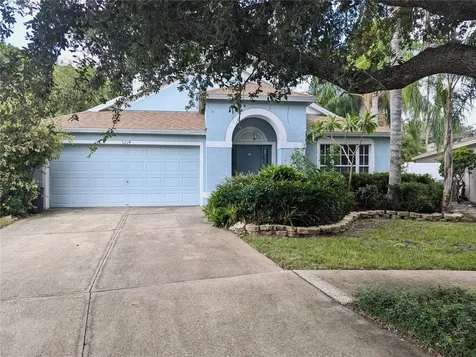 3214 Wheeling Court Land O Lakes FL 34638