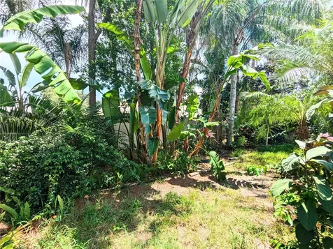 3214 Wheeling Court Land O Lakes FL 34638