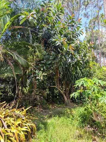 3214 Wheeling Court Land O Lakes FL 34638