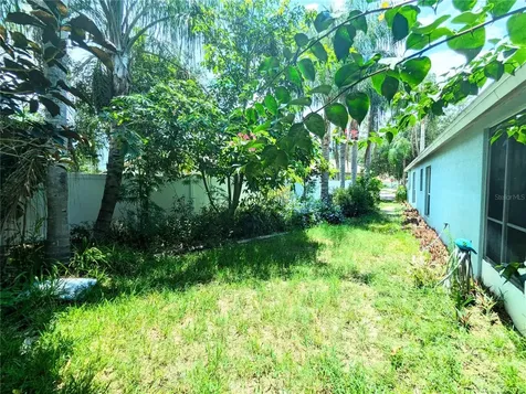 3214 Wheeling Court Land O Lakes FL 34638