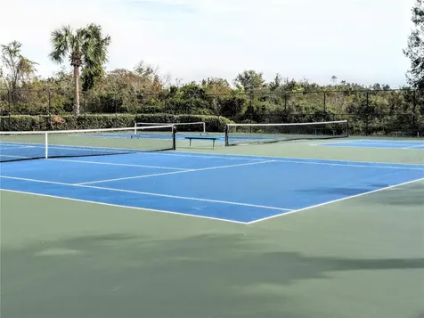 3214 Wheeling Court Land O Lakes FL 34638