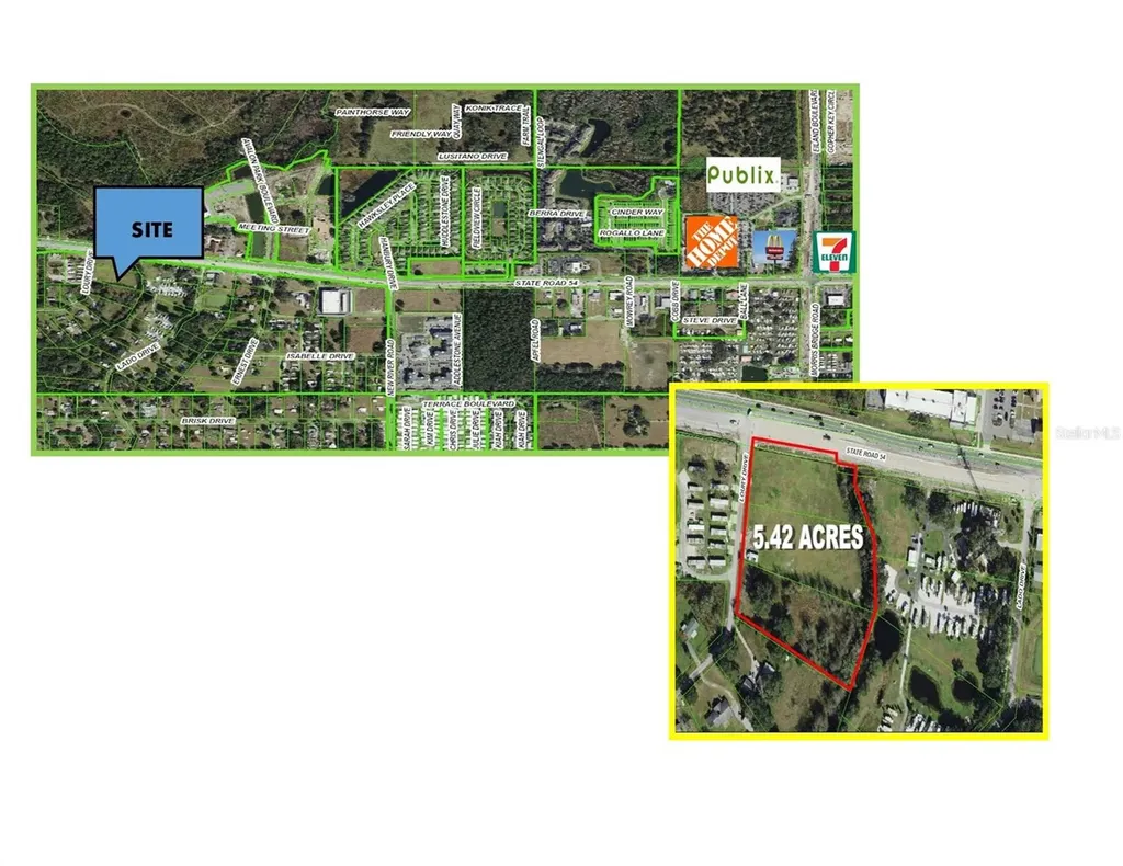 4240 Loury Drive Wesley Chapel FL 33543