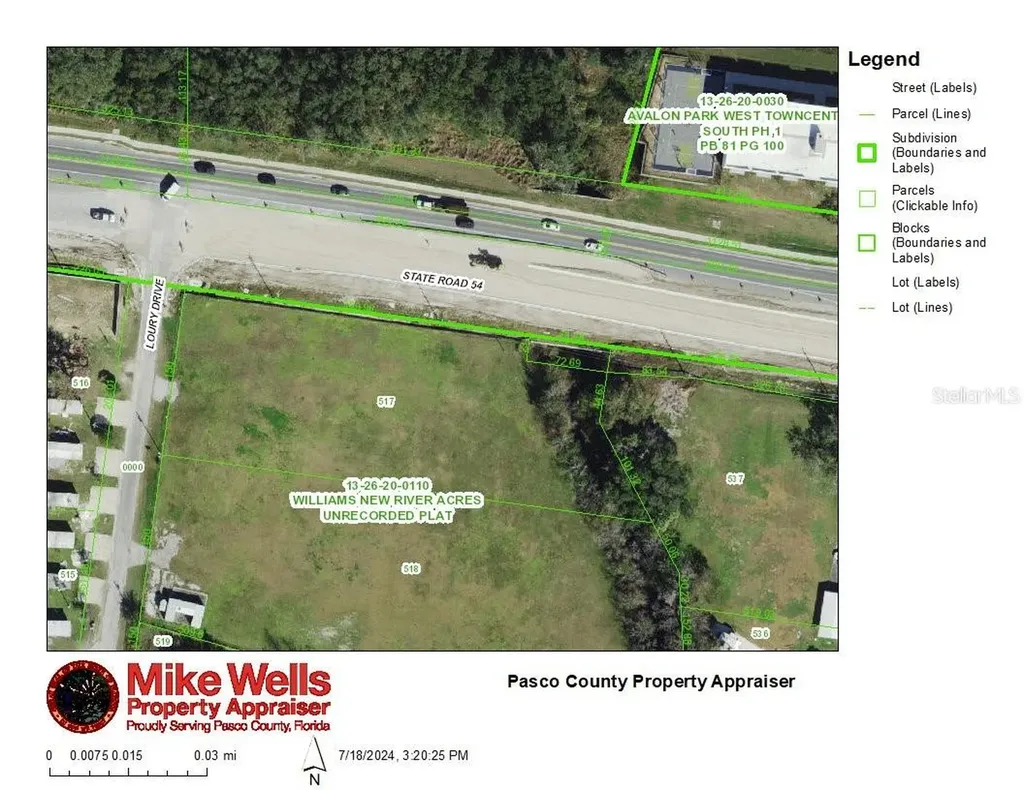 4240 Loury Drive Wesley Chapel FL 33543