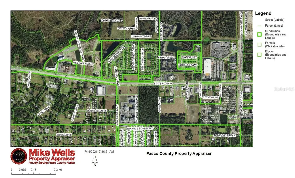 4240 Loury Drive Wesley Chapel FL 33543