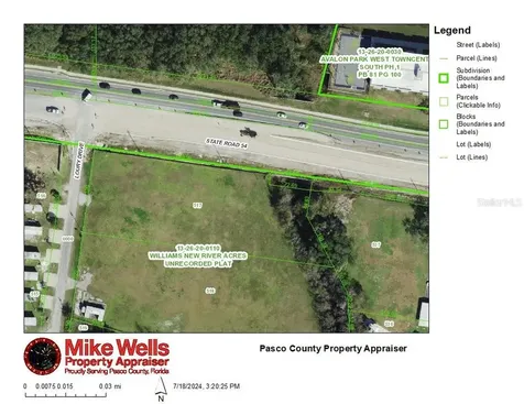 4240 Loury Drive Wesley Chapel FL 33543