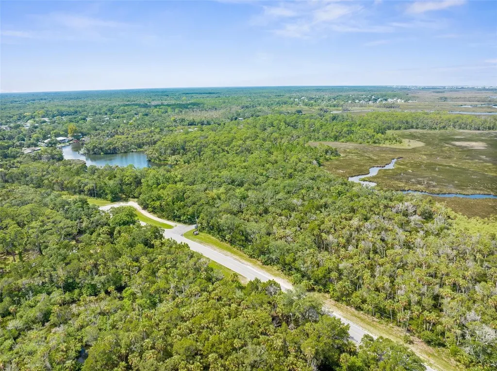 0 Marys Fish Camp Road Spring Hill FL 34607