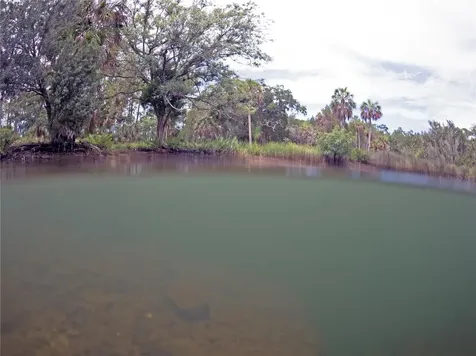 0 Marys Fish Camp Road Spring Hill FL 34607