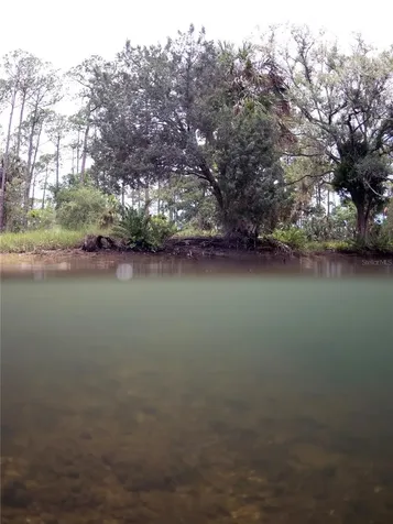 0 Marys Fish Camp Road Spring Hill FL 34607