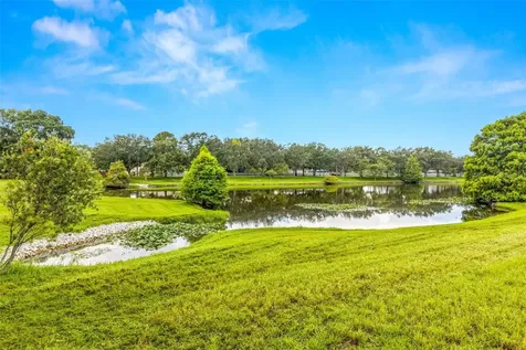 8621 Huntfield Street Tampa FL 33635