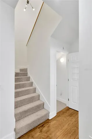 3132 Santorini Court Tampa FL 33611