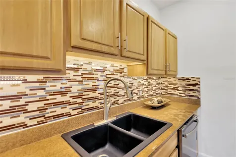 3132 Santorini Court Tampa FL 33611