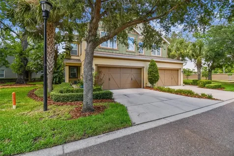 17012 Vilesta Drive Lutz FL 33548