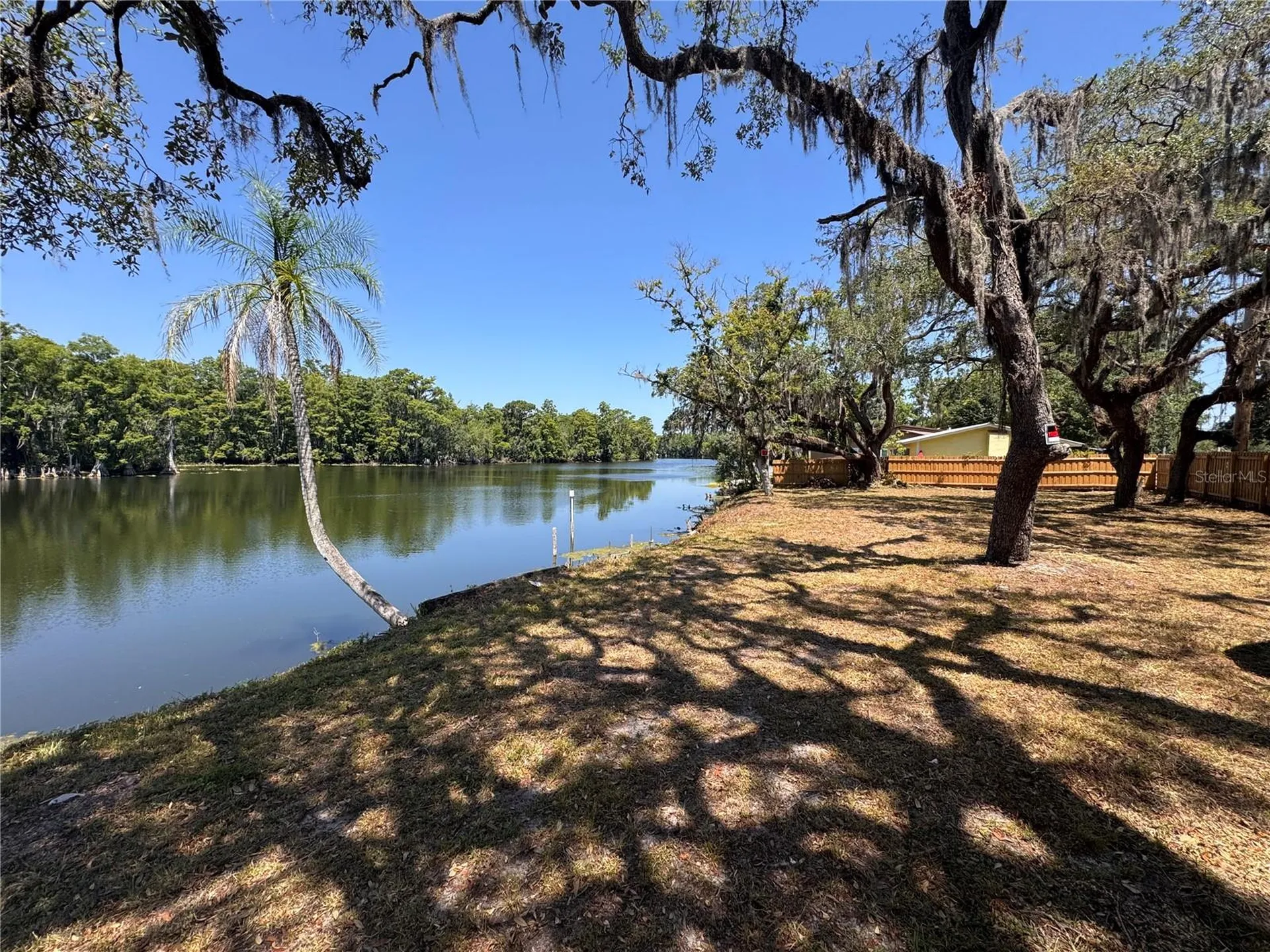 Harney Tampa FL 33617