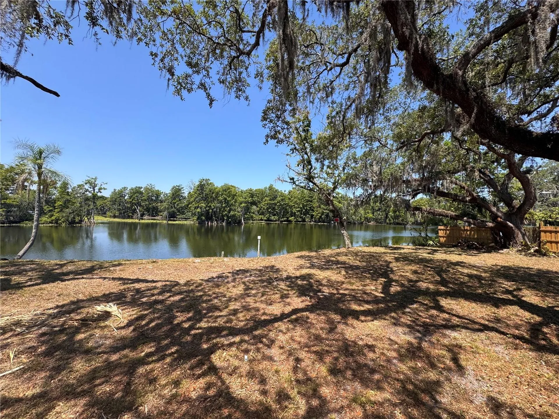 Harney Tampa FL 33617