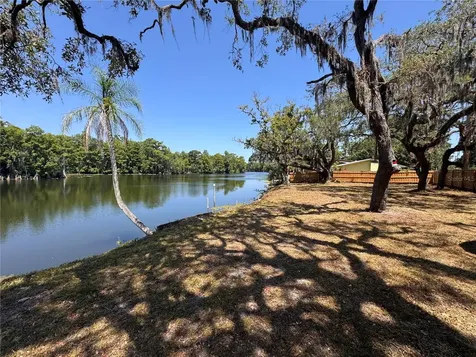 Harney Tampa FL 33617