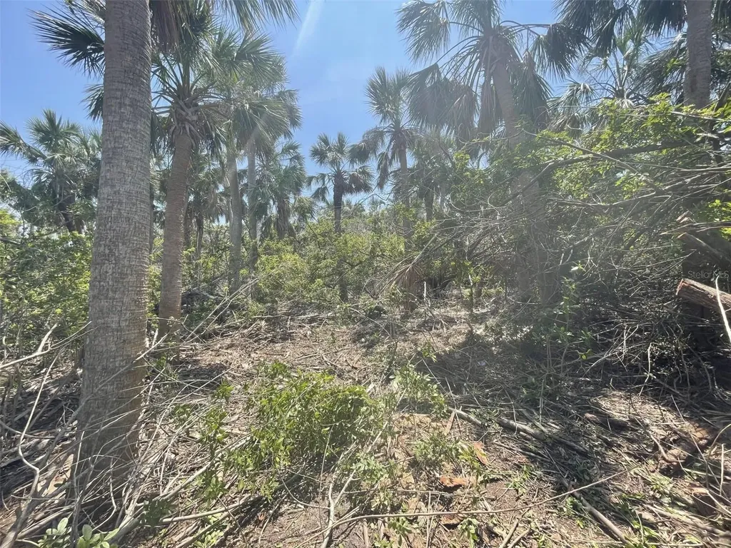 Palm Point Way Placida FL 33946
