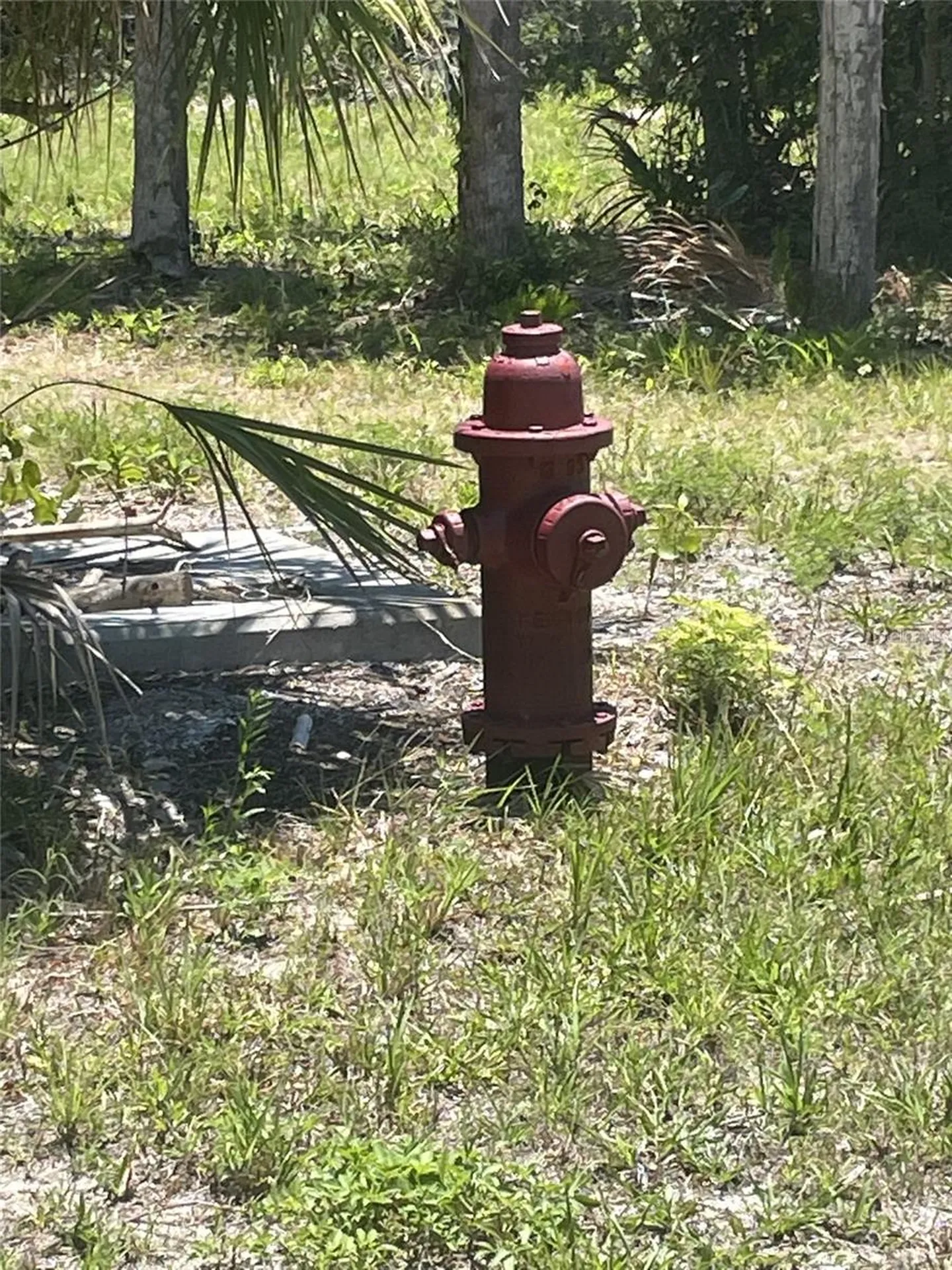 Palm Point Way Placida FL 33946