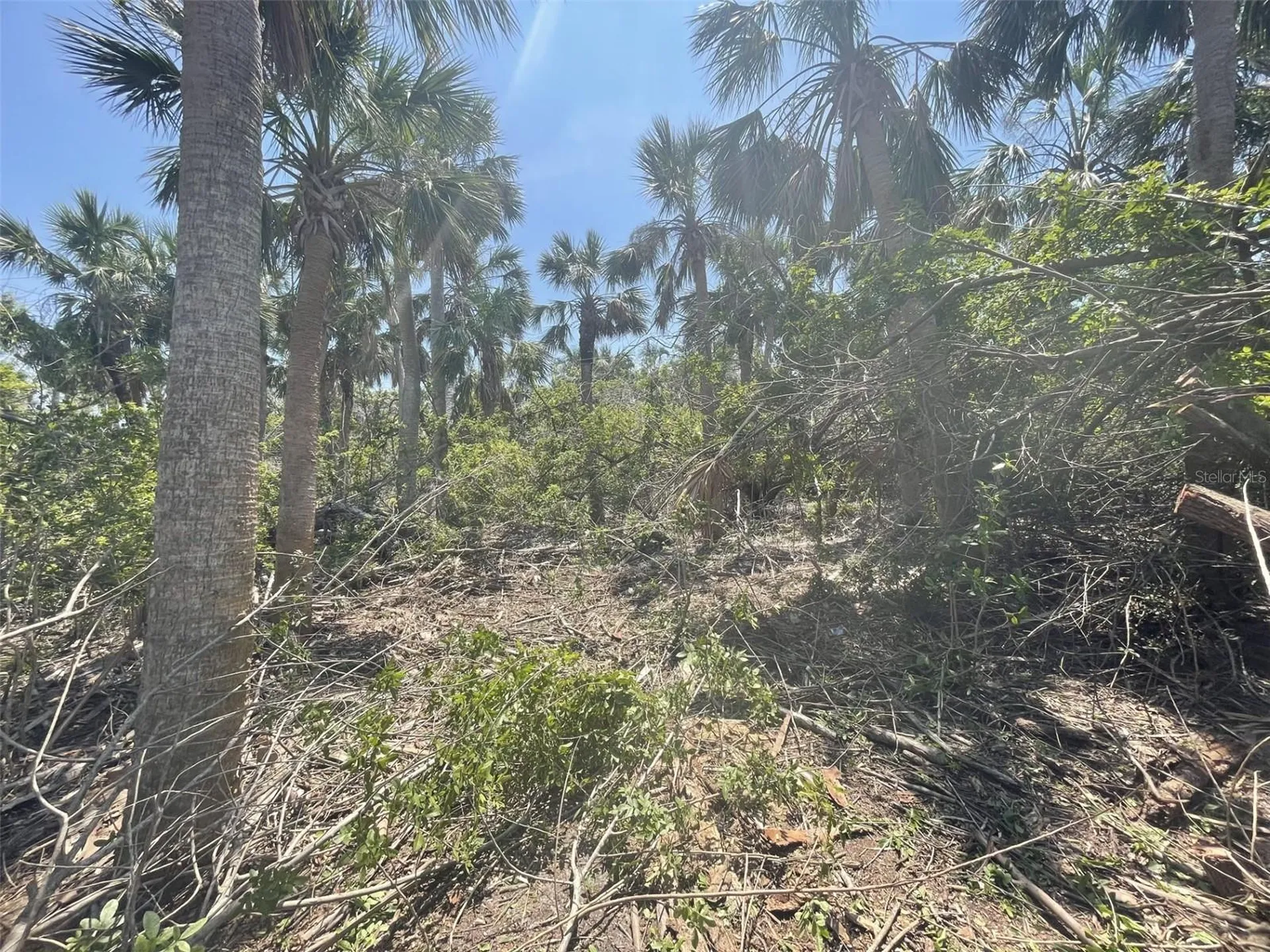 Palm Point Way Placida FL 33946