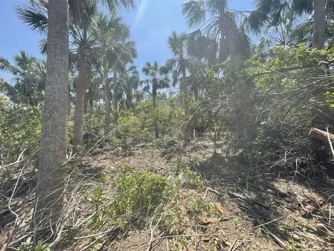 Palm Point Way Placida FL 33946