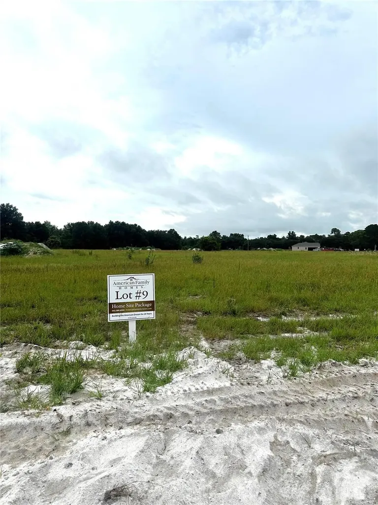 38521 Wooded Meadow Drive Umatilla FL 32784
