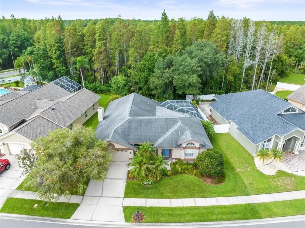 3908 Yellow Finch Lane Lutz FL 33558