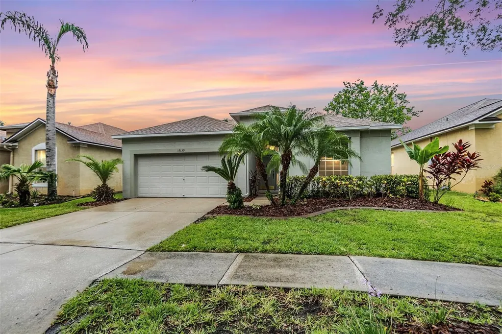 19139 Wood Sage Drive Tampa FL 33647