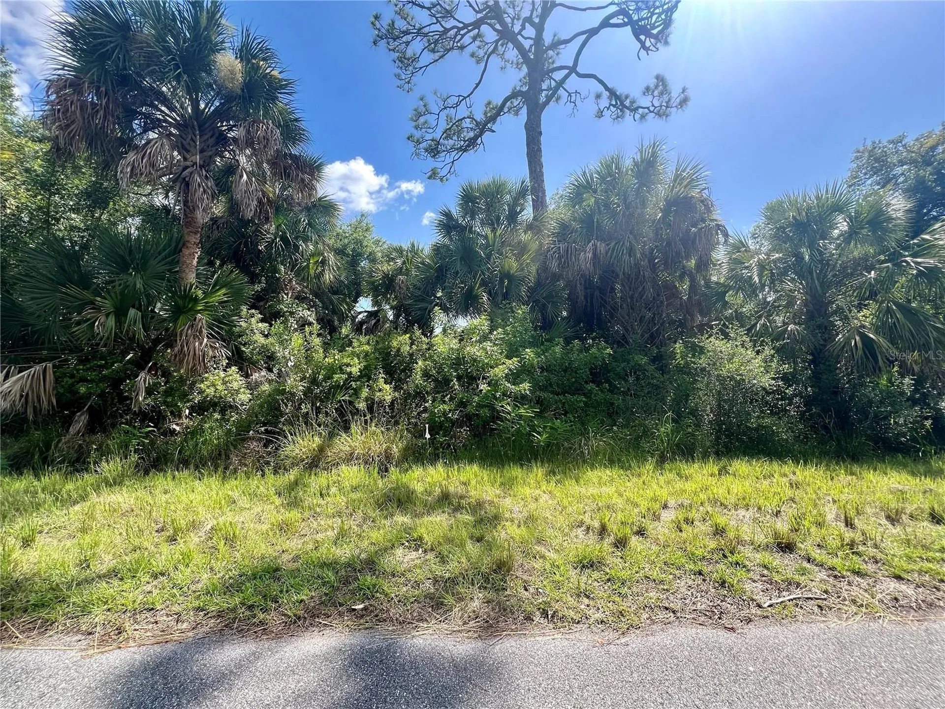 539 Mcdill Drive Port Charlotte FL 33953