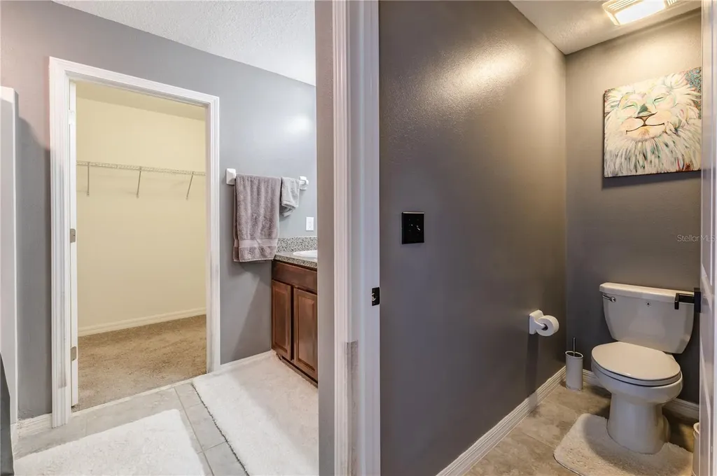 409 Serenity Mill Loop Ruskin FL 33570