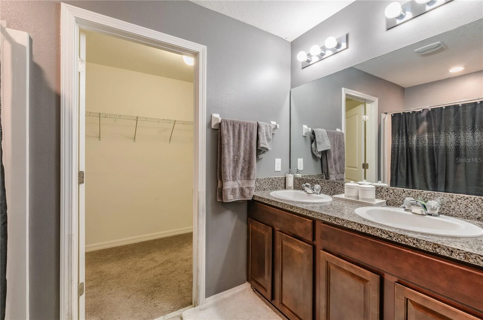 409 Serenity Mill Loop Ruskin FL 33570