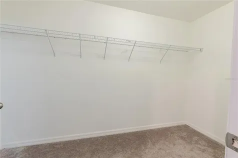 409 Serenity Mill Loop Ruskin FL 33570
