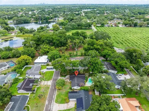 10506 Homestead Drive Tampa FL 33618