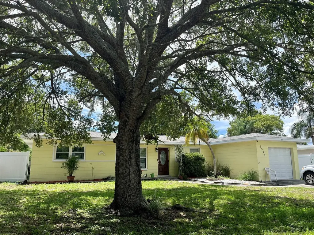 6538 19th Way N St Petersburg FL 33702