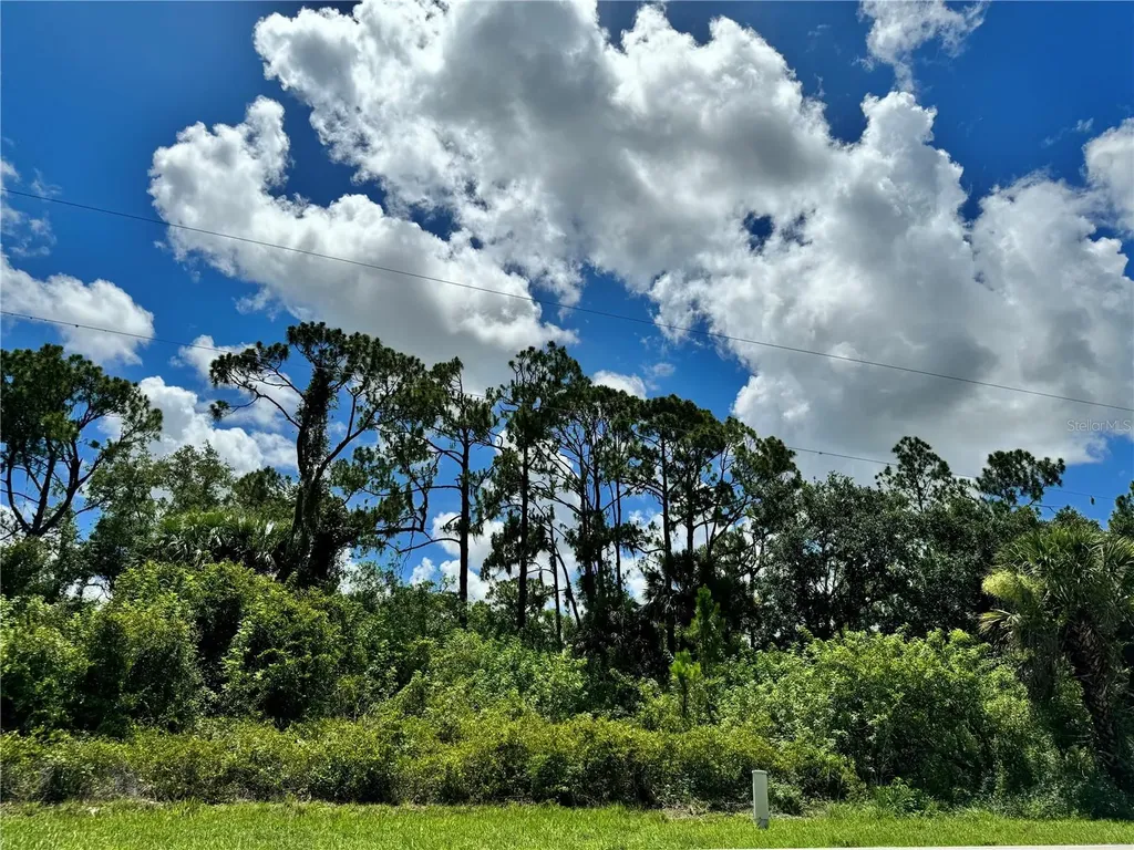 255 Ravenswood Boulevard Port Charlotte FL 33954