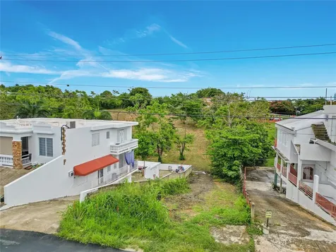Camino Las Piñas Rincon PR 00677