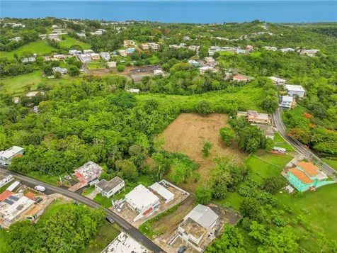 Camino Las Piñas Rincon PR 00677