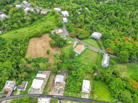 Camino Las Piñas Rincon PR 00677