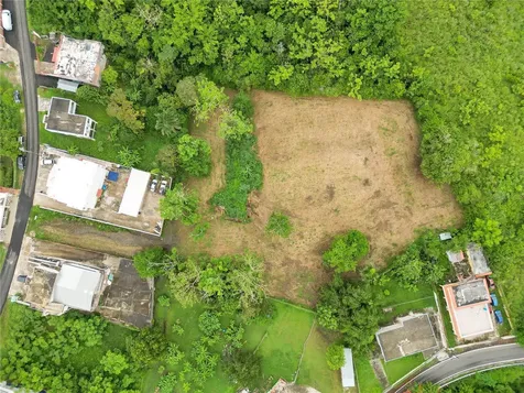 Camino Las Piñas Rincon PR 00677