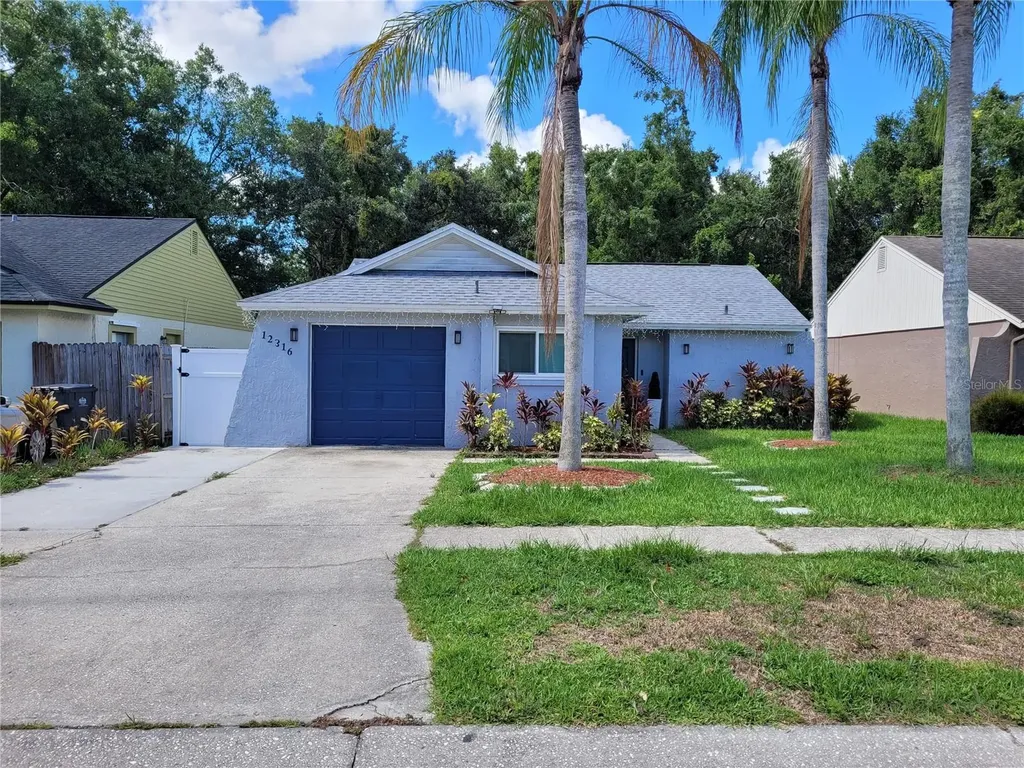 12316 Witheridge Drive Tampa FL 33624