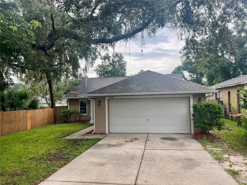 31228 Shinnecock Hills Avenue Sorrento FL 32776