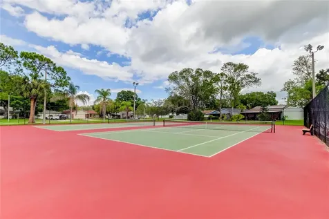 710 Jacaranda Drive Oldsmar FL 34677