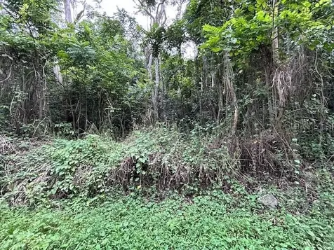Bo. Candelaria Pr 647 Campo Nuevo -azucena Street Vega Alta PR 00692