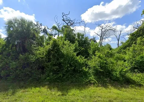 7146 Mineola Road Englewood FL 34224