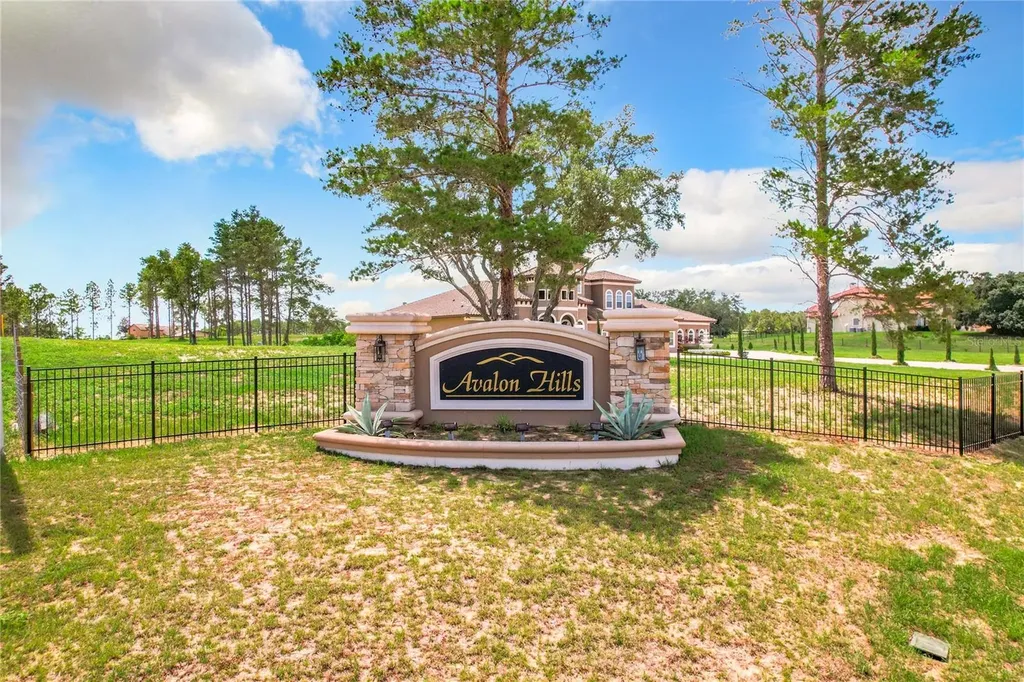 10133 Colt Lane Winter Garden FL 34787