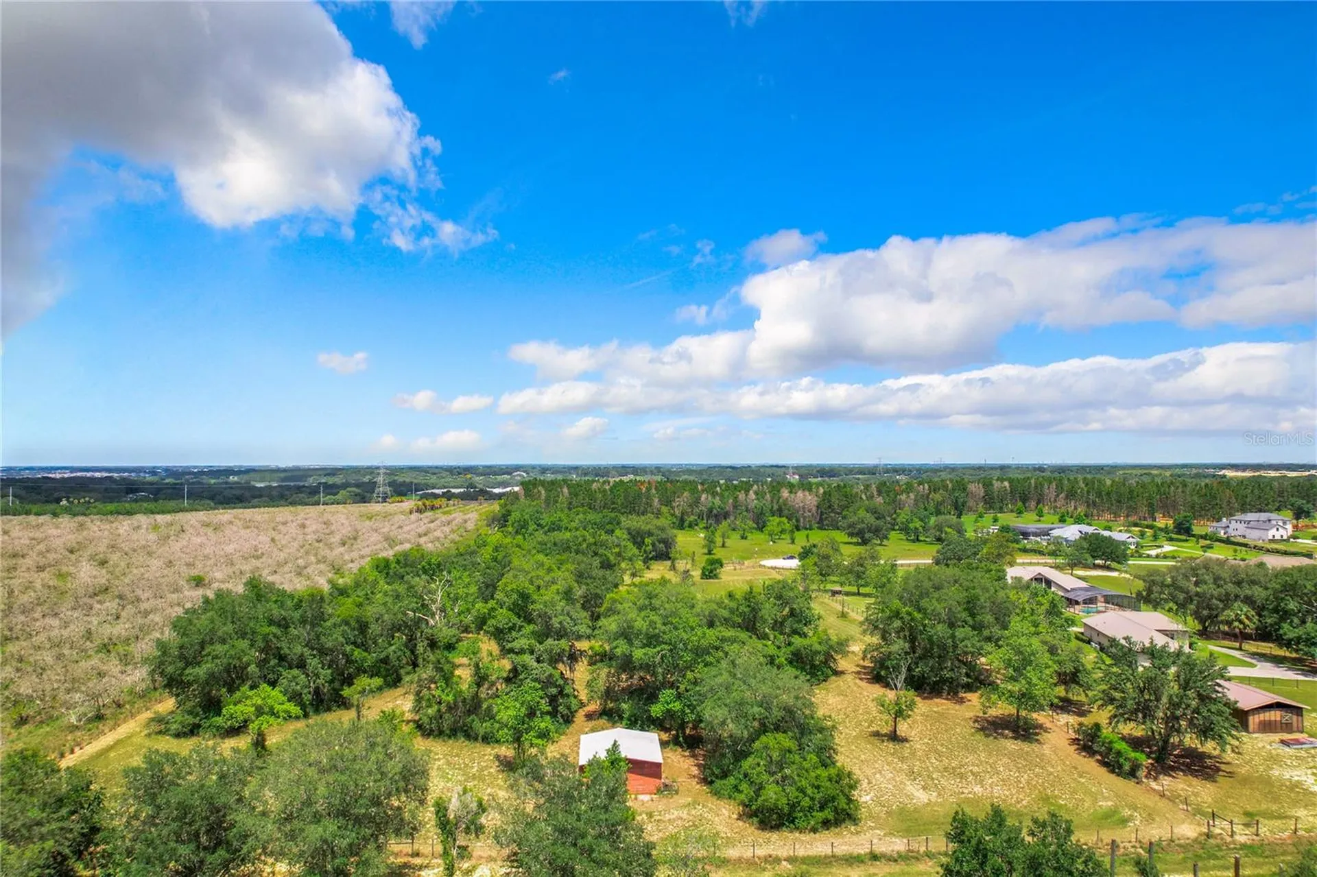10133 Colt Lane Winter Garden FL 34787