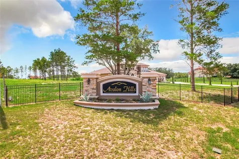 10133 Colt Lane Winter Garden FL 34787