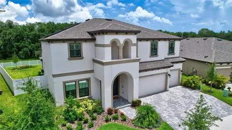 13223 Twin Bridges Drive Riverview FL 33579