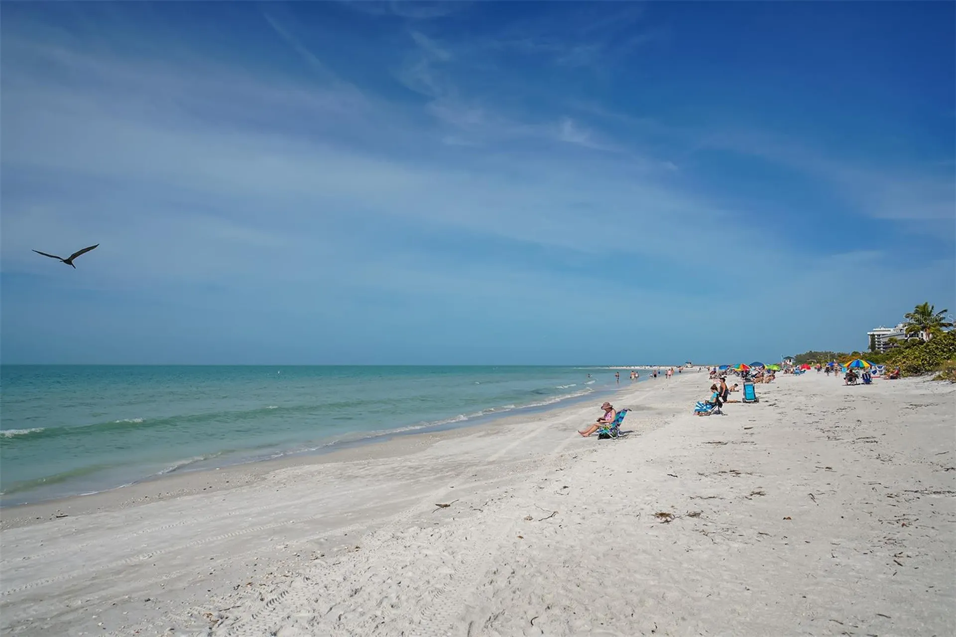 1064 N Tamiami Trail Sarasota FL 34236
