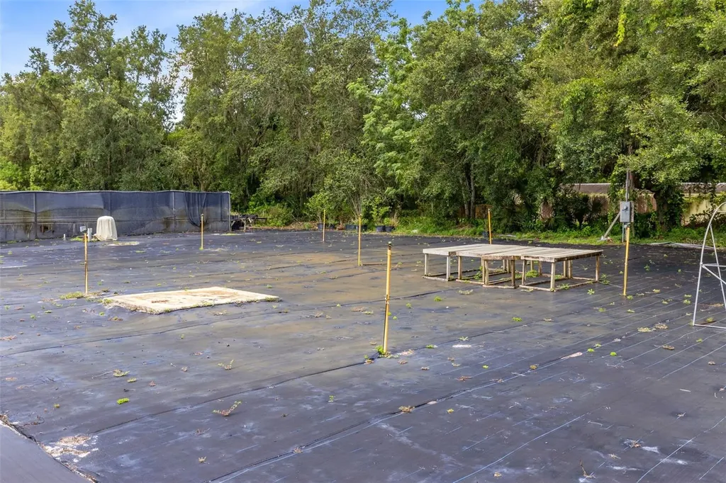 424 E Welch Road Apopka FL 32712