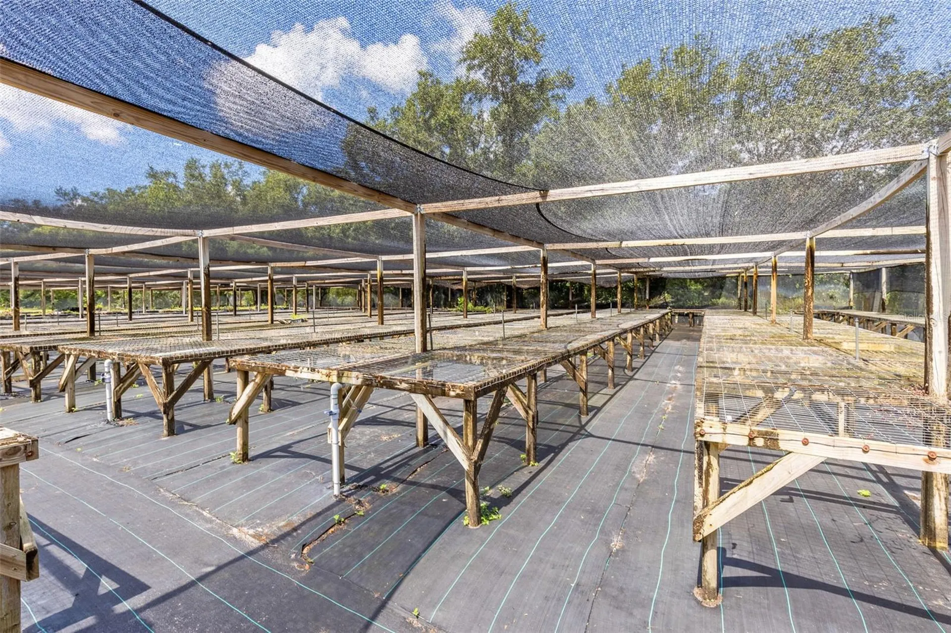 424 E Welch Road Apopka FL 32712